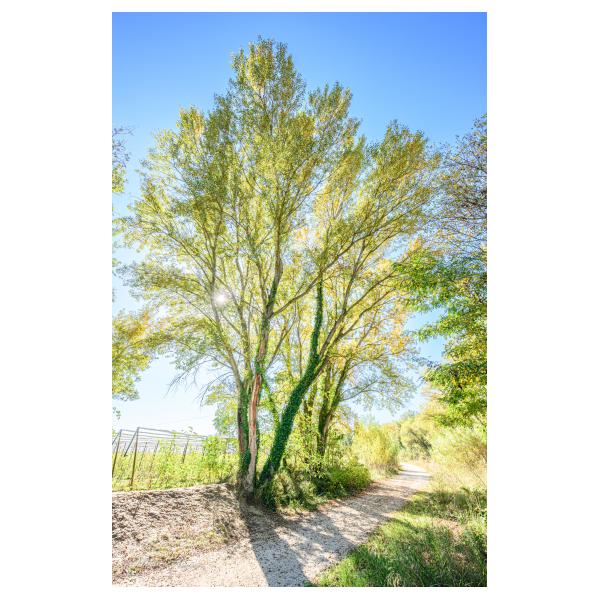 PHOTO84, CLUB, 84 , LUBERON